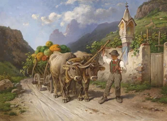Rich Harvest